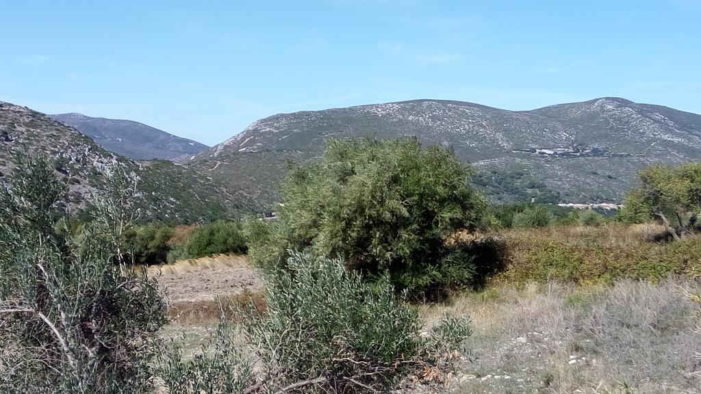 Gabriel Residence Kardhakáta Dış mekan fotoğraf
